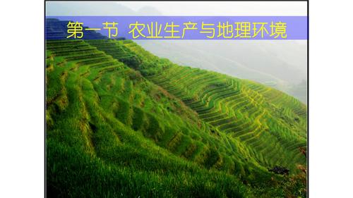农业区位因素及水稻种植业.ppt