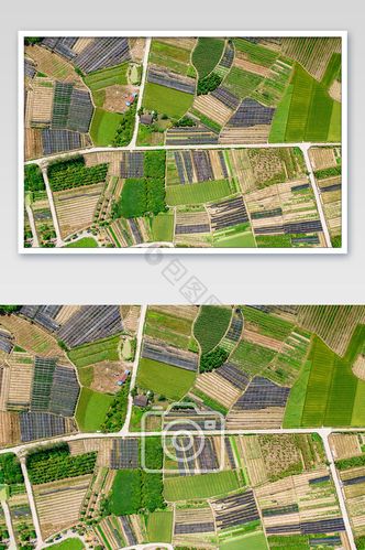俯拍蔬菜水稻种植地摄影图片
